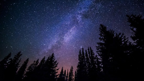 Estrellas, Bosque, Naturaleza, Canadá
