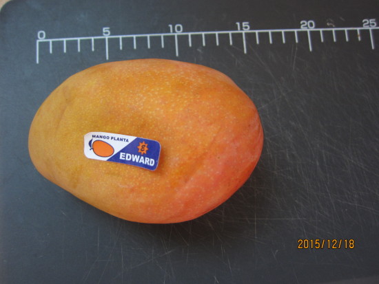 Mango, Fruta