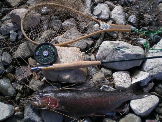 Trout Arcoíris, Pescar, Naturaleza, Canadá