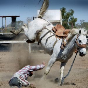 Rodeo, Caballo, Canadá, Natulareza