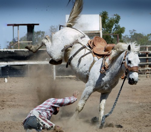 Rodeo, Caballo, Canadá, Natulareza