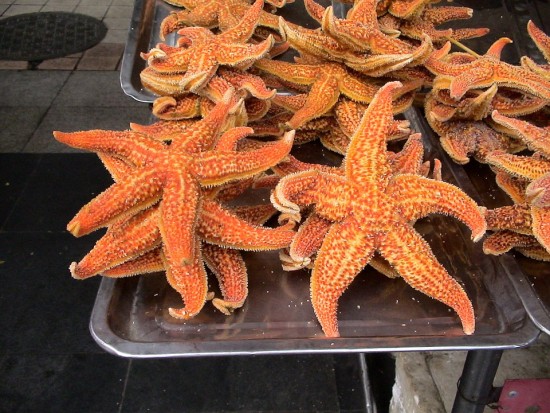 Estrellas del Mar, Kampo, Taiwan, China
