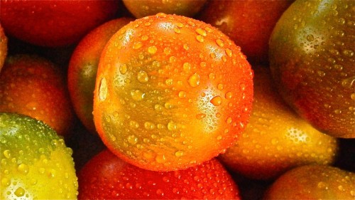 tomate fruit
