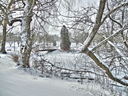 Invierno, Tormento de Nieve, Frío, Canadá