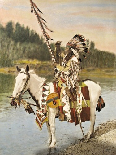 Blackfoot, Nativo, Indígena, Canadá