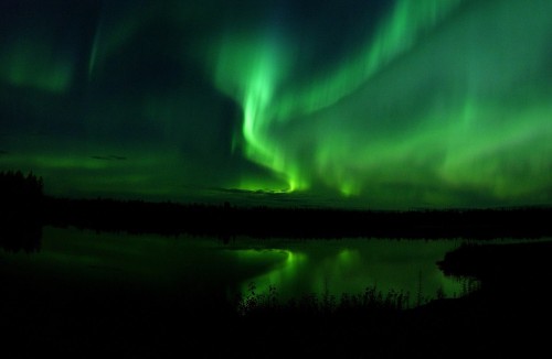 Aurora, Naturaleza, Alberta, Canadá