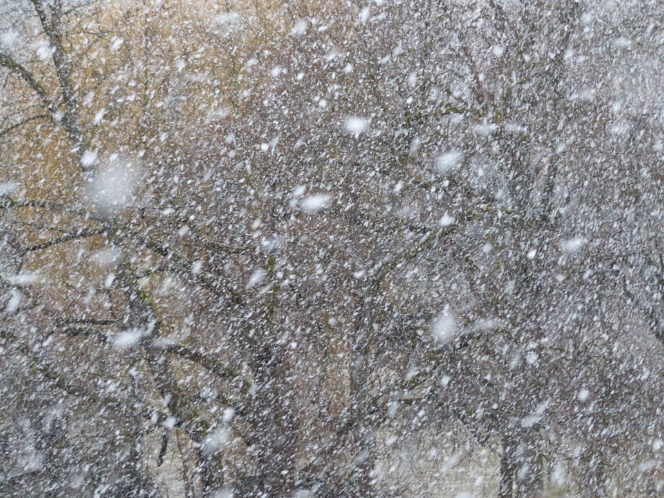 Invierno, Tormento de Nieve, Frío, Canadá