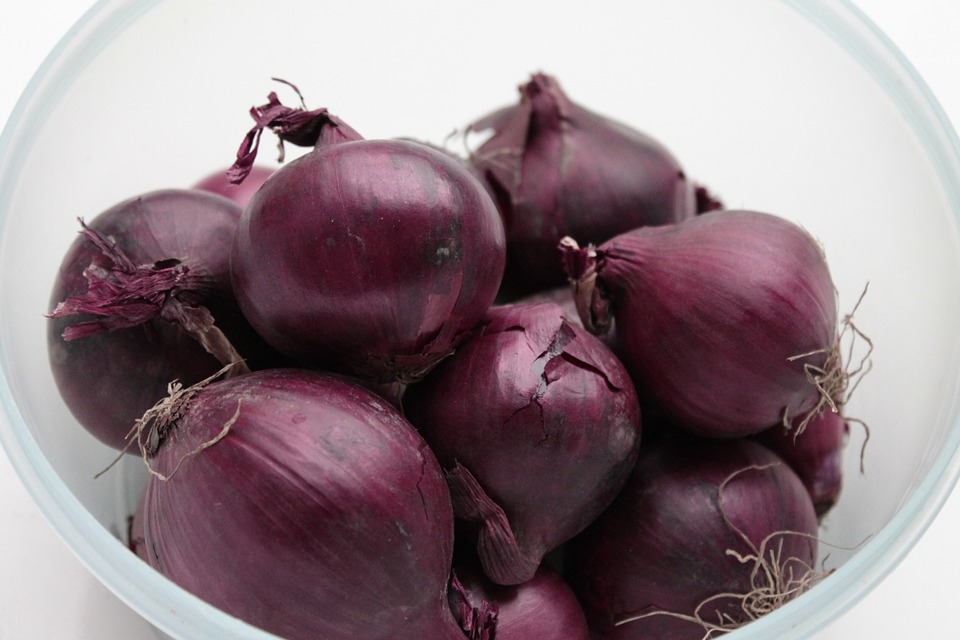 cebolla