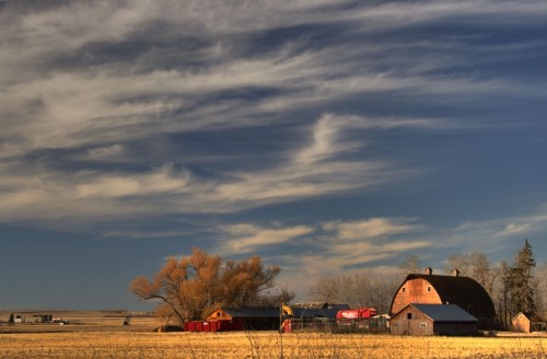 Naturaleza, Granja, Alberta. Canada