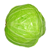 repollo