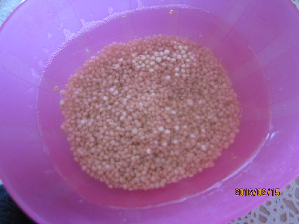 quinua, Perú, nutrición, saldable