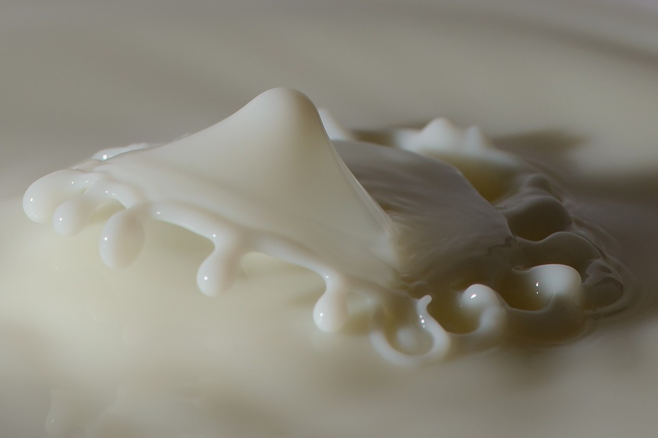 leche, bellaza, efecto, nutrición