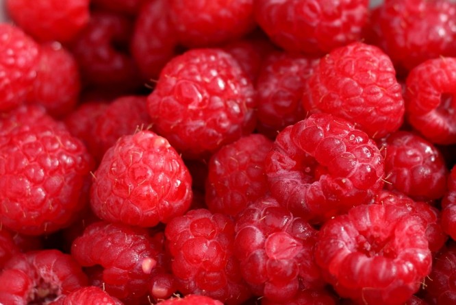 frambuesa