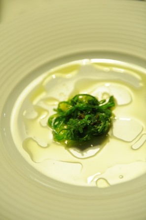 alga