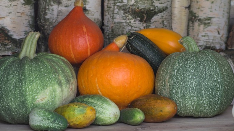 calabaza