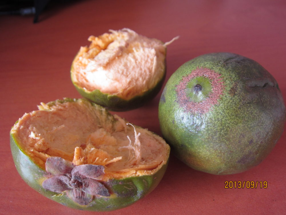 lúcuma