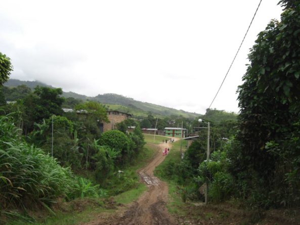 Viaje, Perú, Moyobamba, San Martin