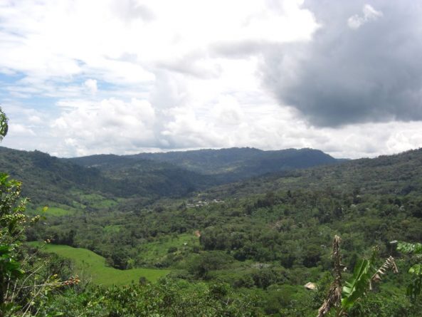 Viaje, Perú, Moyobamba, San Martin