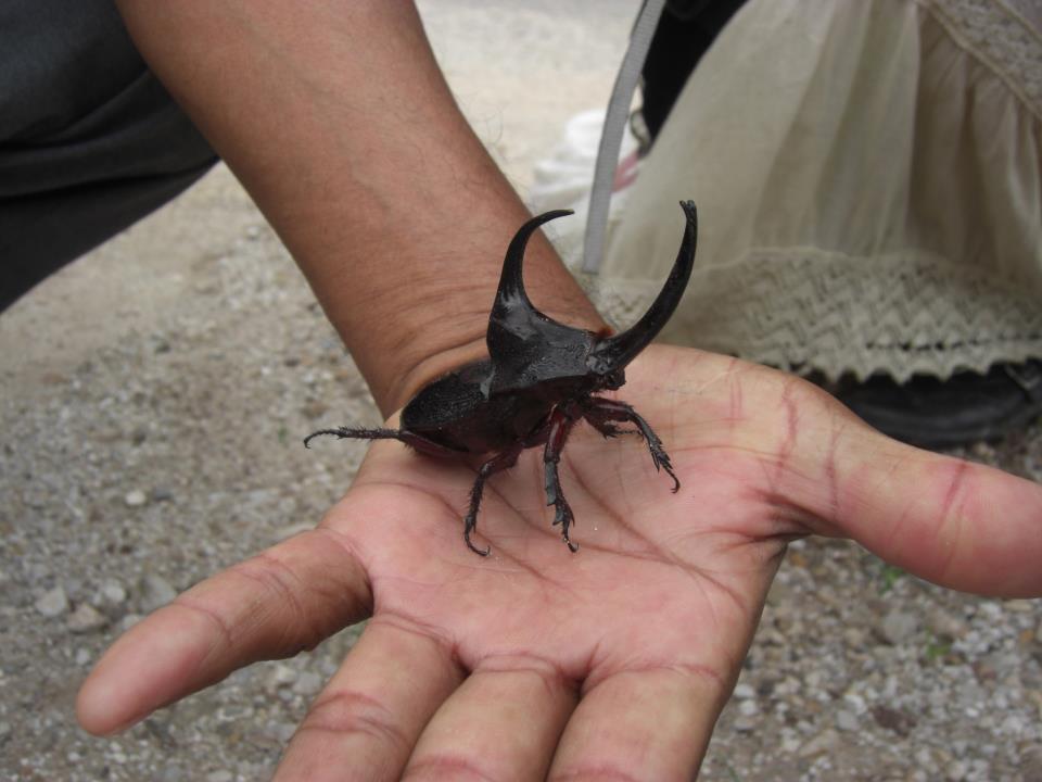 Viaje, Perú, Moyobamba, San Martin