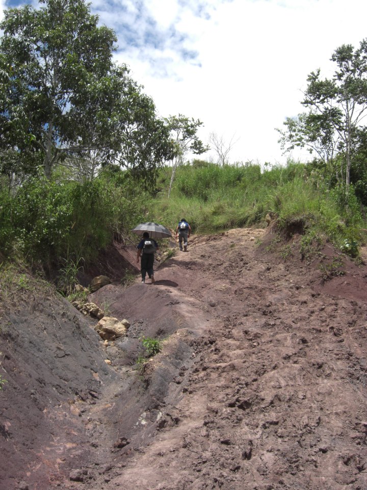 Viaje, Perú, Moyobamba, San Martin