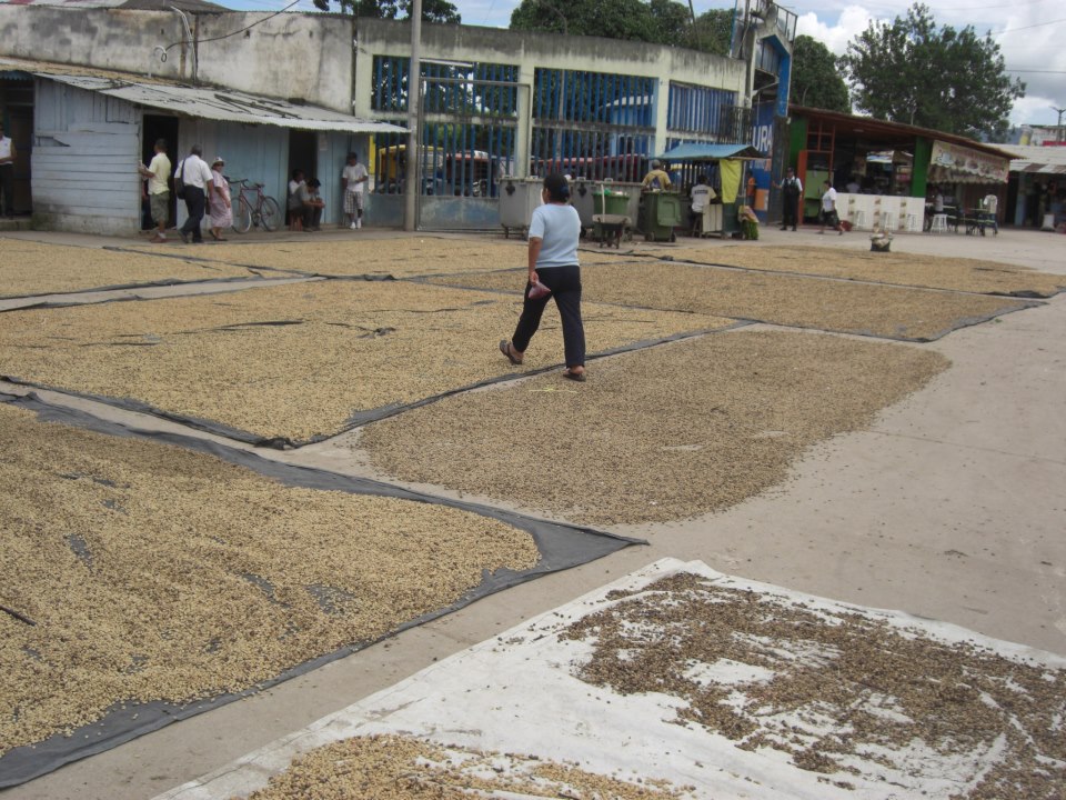 Viaje, Perú, Moyobamba, San Martin