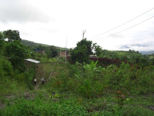 Viaje, Perú, Moyobamba, San Martin