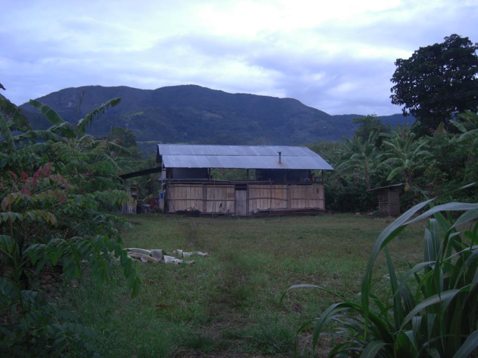 Viaje, Perú, Moyobamba, San Martin