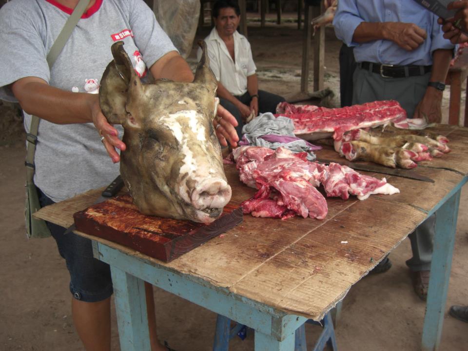 Viaje, Perú, Moyobamba, San Martin