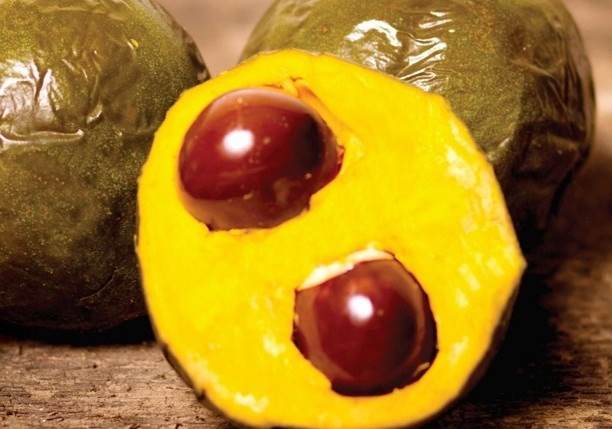 dieta, belleza, nutrición, super comida
