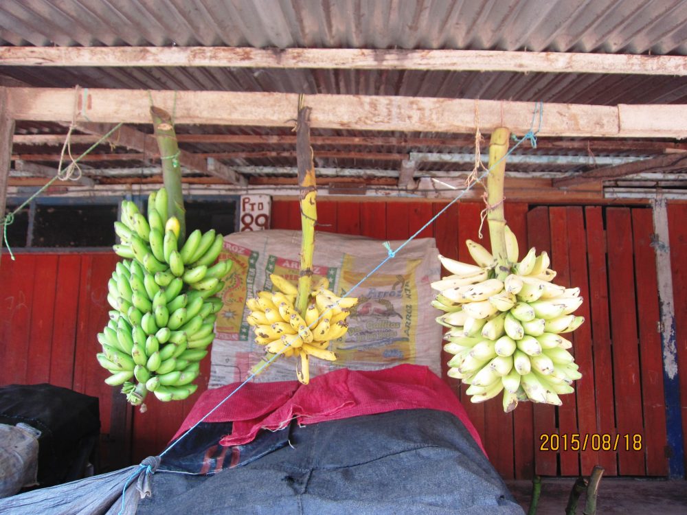 Viaje, Perú, Moyobamba, San Martin