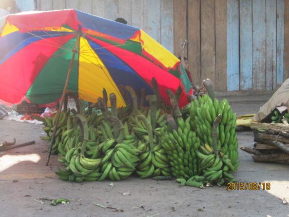 Viaje, Perú, Moyobamba, San Martin