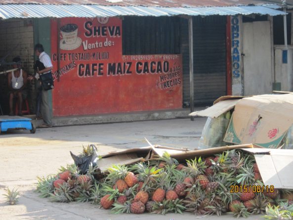 Viaje, Perú, Moyobamba, San Martin