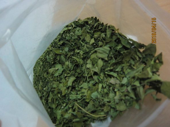 MORINGA