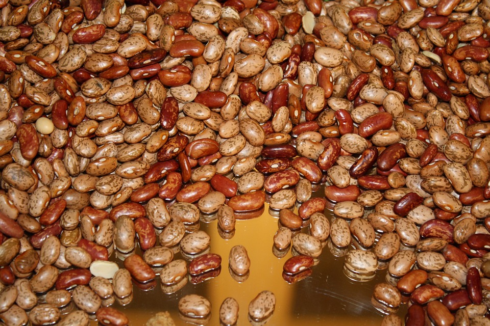 efecto, salud, dieta, frijoles
