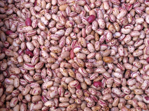 frijoles