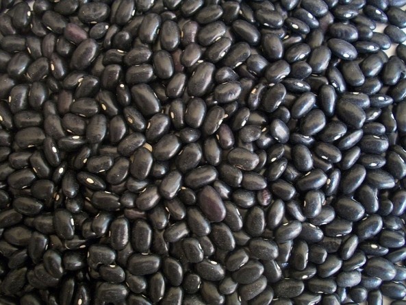 los frijoles negro
