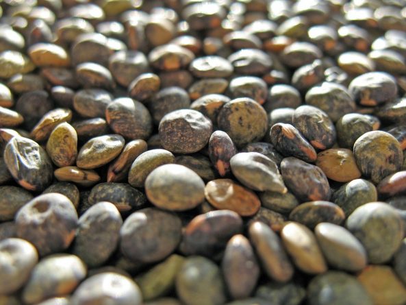frijoles