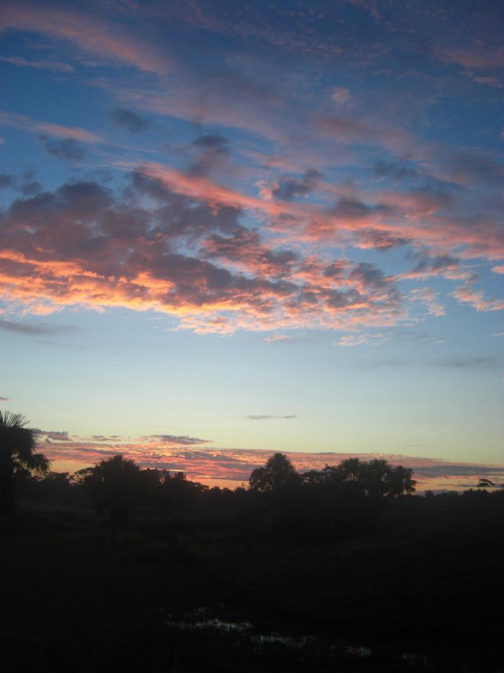 Viaje, Perú, Loreto, Pampa Hermosa