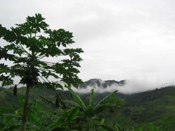 Viaje, Perú, Moyobamba, San Martin