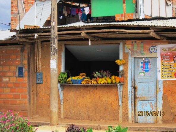 Viaje, Perú, Moyobamba, San Martin