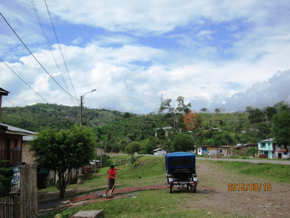 Viaje, Perú, Moyobamba, San Martin