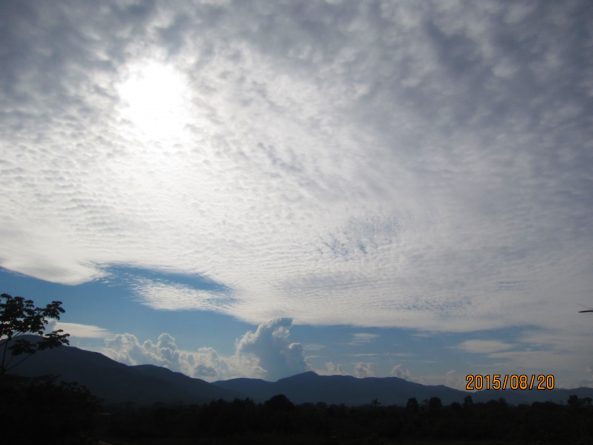 Viaje, Perú, Loreto, Pampa Hermosa