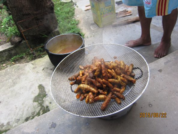 Viaje, Perú, Moyobamba, San Martin