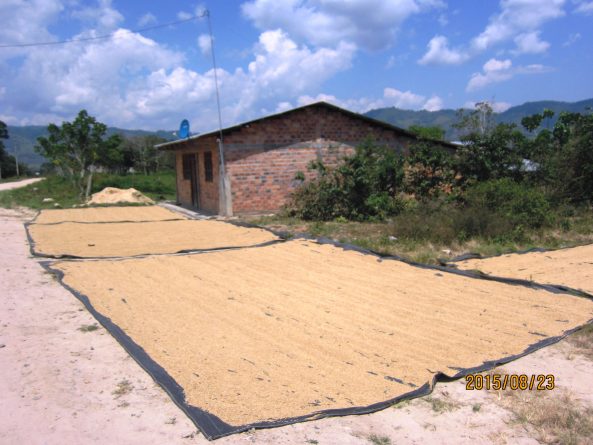 Viaje, Perú, Moyobamba, San Martin