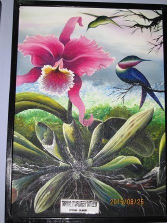Viaje, Perú, Moyobamba, San Martin