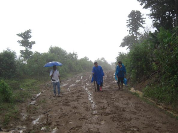 Viaje, Perú, Moyobamba, San Martin