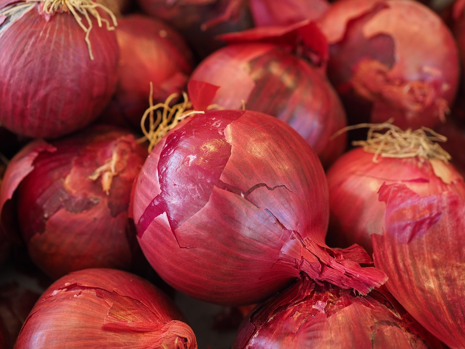 cebolla, eficacia, cáncer, dieta