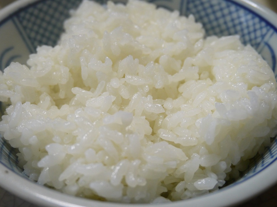 arroz, cerebro, cuerpo, salud