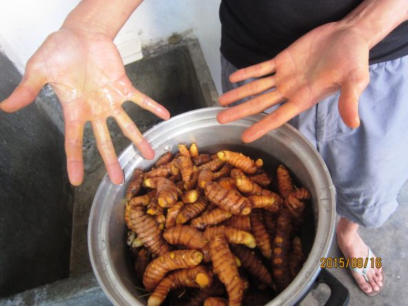 Viaje, Perú, Moyobamba, San Martin