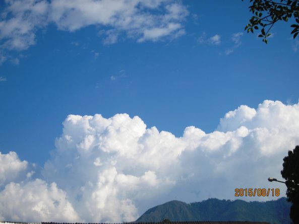 Viaje, Perú, Loreto, Pampa Hermosa